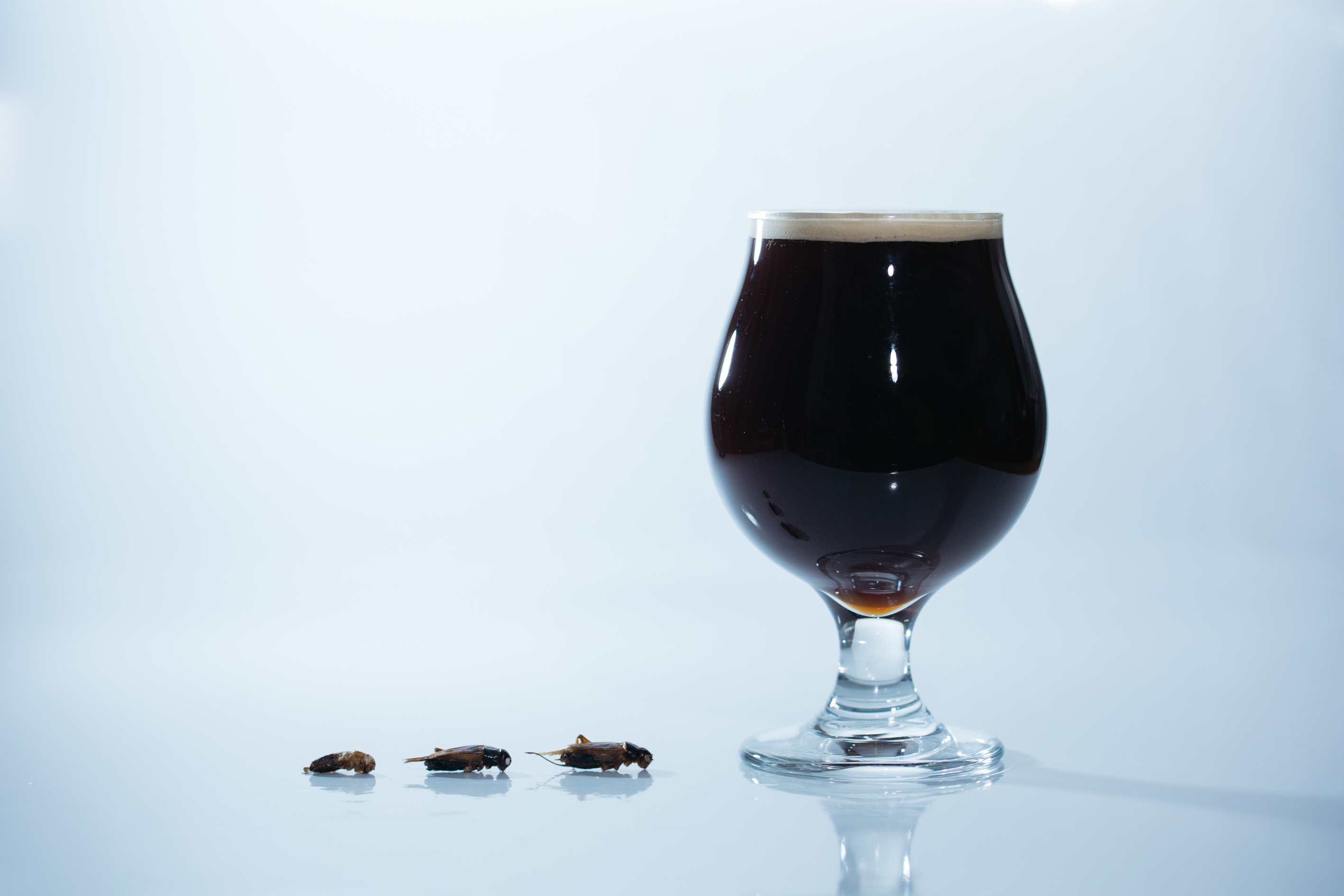 『コオロギビール/Cricket Dark Ale』