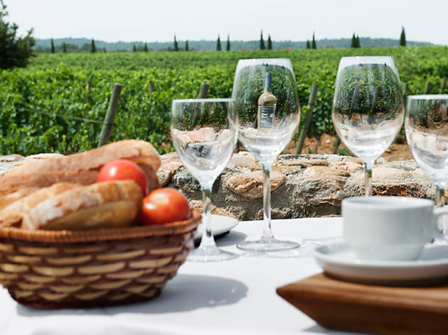 Esmorzar entre vinyes, a La Vinyeta Esmorzar entre vinyes, a La Vinyeta