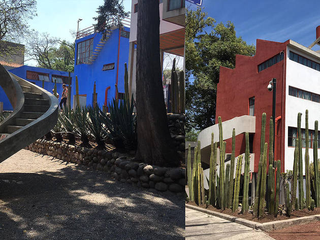 Museo Casa Estudio Diego Rivera y Frida Kahlo Museo Casa Estudio Diego Rivera y Frida Kahlo