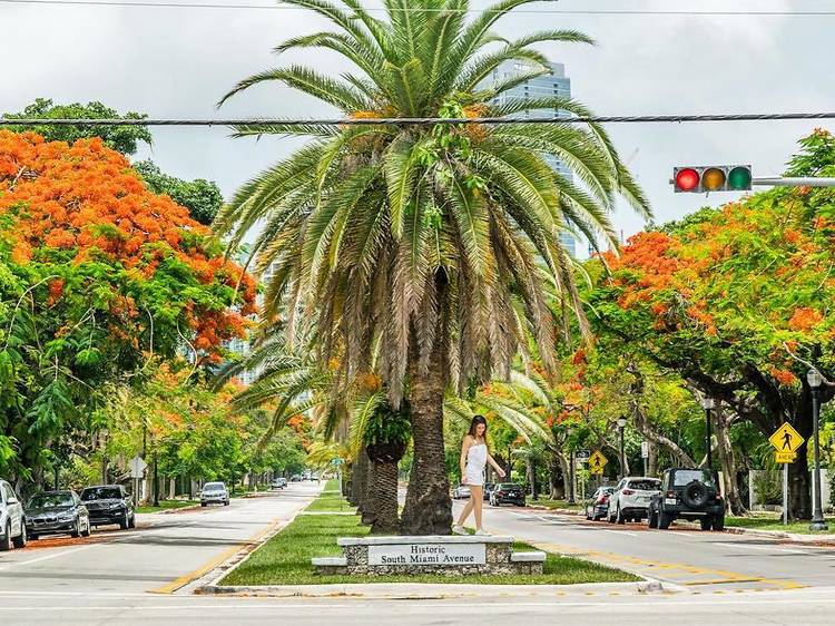 The most Instagrammable streets in Miami