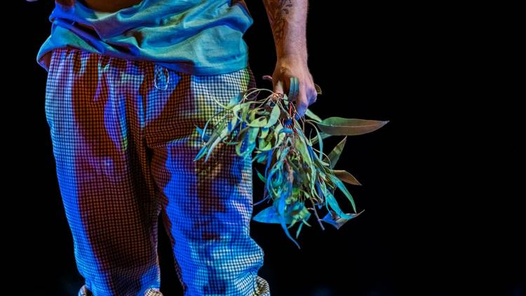 a man in checked pants holds a clutch of gum leaves