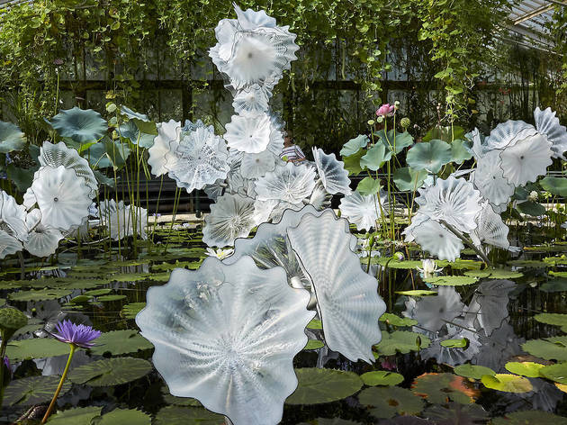 Dale Chihuly: Glass in Bloom Dale Chihuly: Glass in Bloom