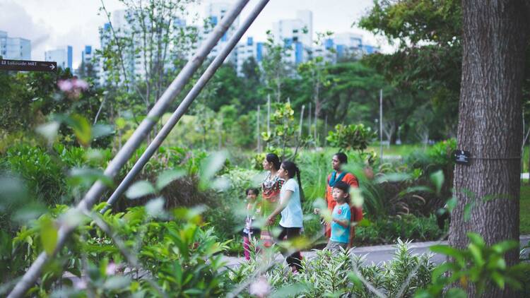 The best kid-friendly hiking trails in Singapore for the family