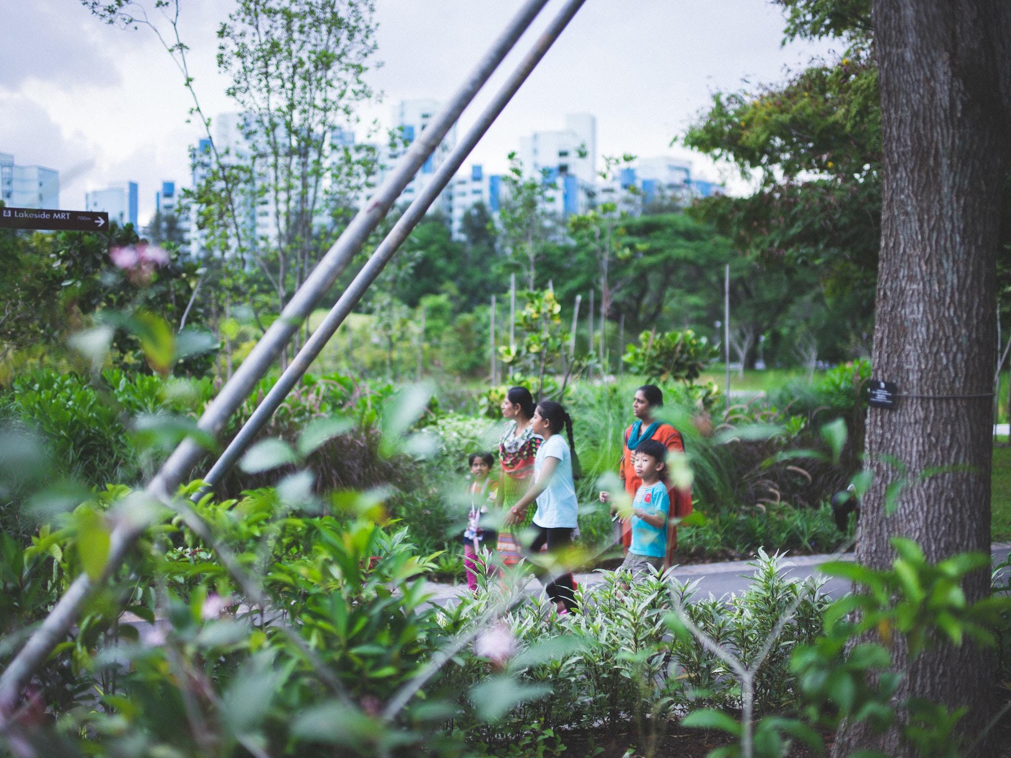 18 kid-friendly hiking trails in Singapore for some outdoor family fun