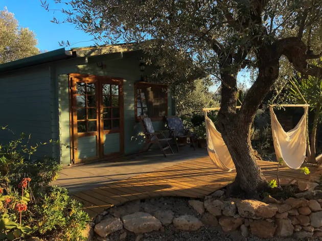 Airbnb, mascotas Airbnb, mascotas
