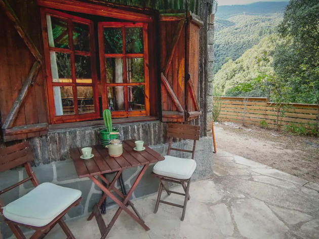 Airbnb, mascotas Airbnb, mascotas