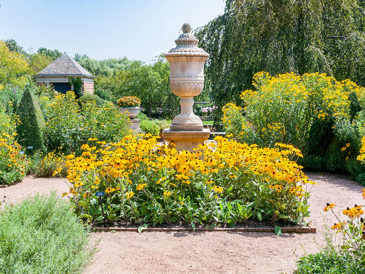 Admire the blooms in a Chicago garden