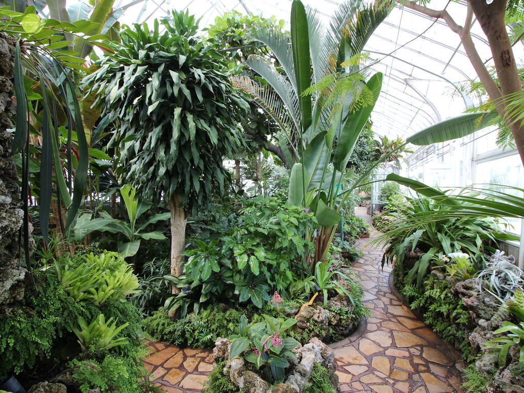 15 Most Beautiful Gardens in Chicago, From Botanical Gardens to