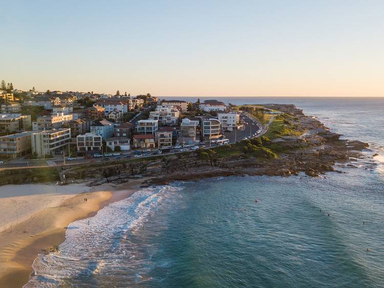 Maroubra aerial shot featuring beach and Jack Vanny Memorial Park