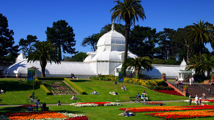 Stroll through the San Francisco Botanical Garden