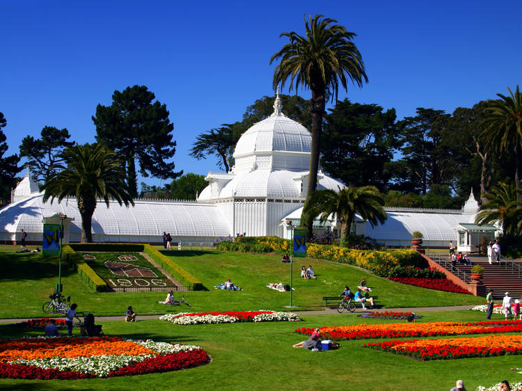 Stroll through the San Francisco Botanical Garden