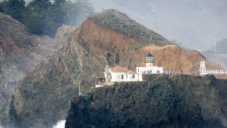 Take an expedition to the Farallon Islands