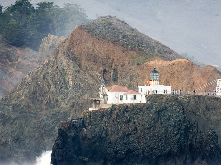 Take an expedition to the Farallon Islands