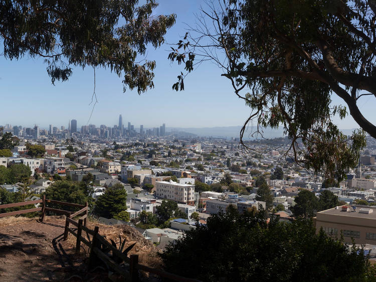 Take a ride with a view on the Billy Goat Hill swing