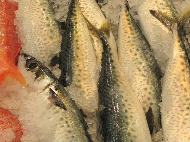 The Fish Market Maroubra Close up of market fish packed in ice