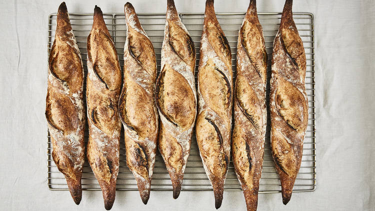 Chestnut Bakery
