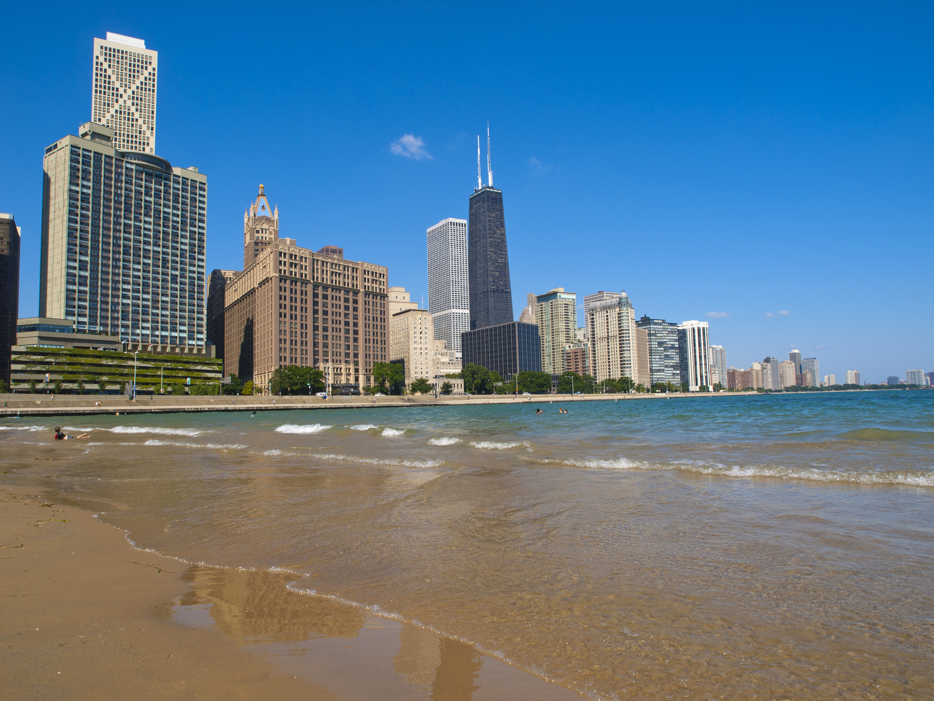 are dogs allowed on chicago beaches