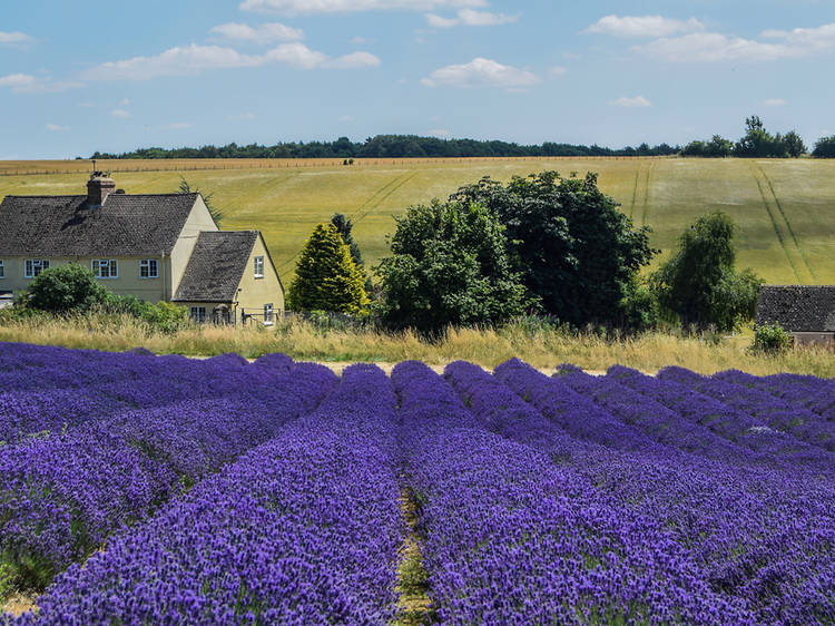 Hill Barn Farm, Worcestershire