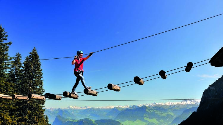 Mix action and relaxation at Pilatus Rope Park and a yacht cruise