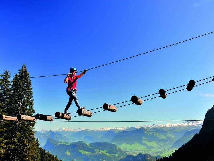 Mix action and relaxation at Pilatus Rope Park and a yacht cruise