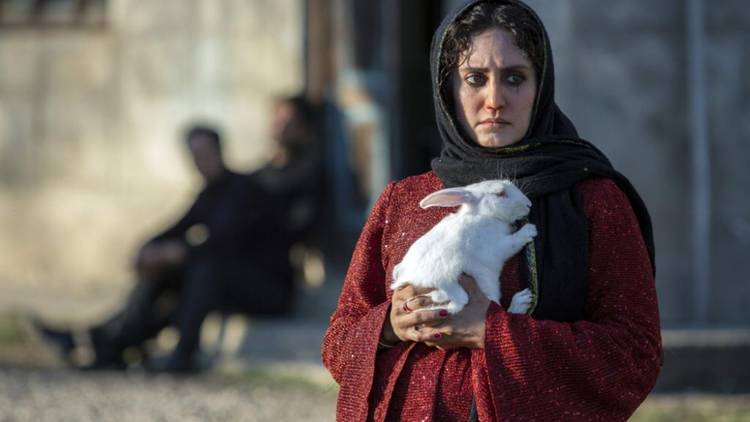 A woman holding a white rabbit