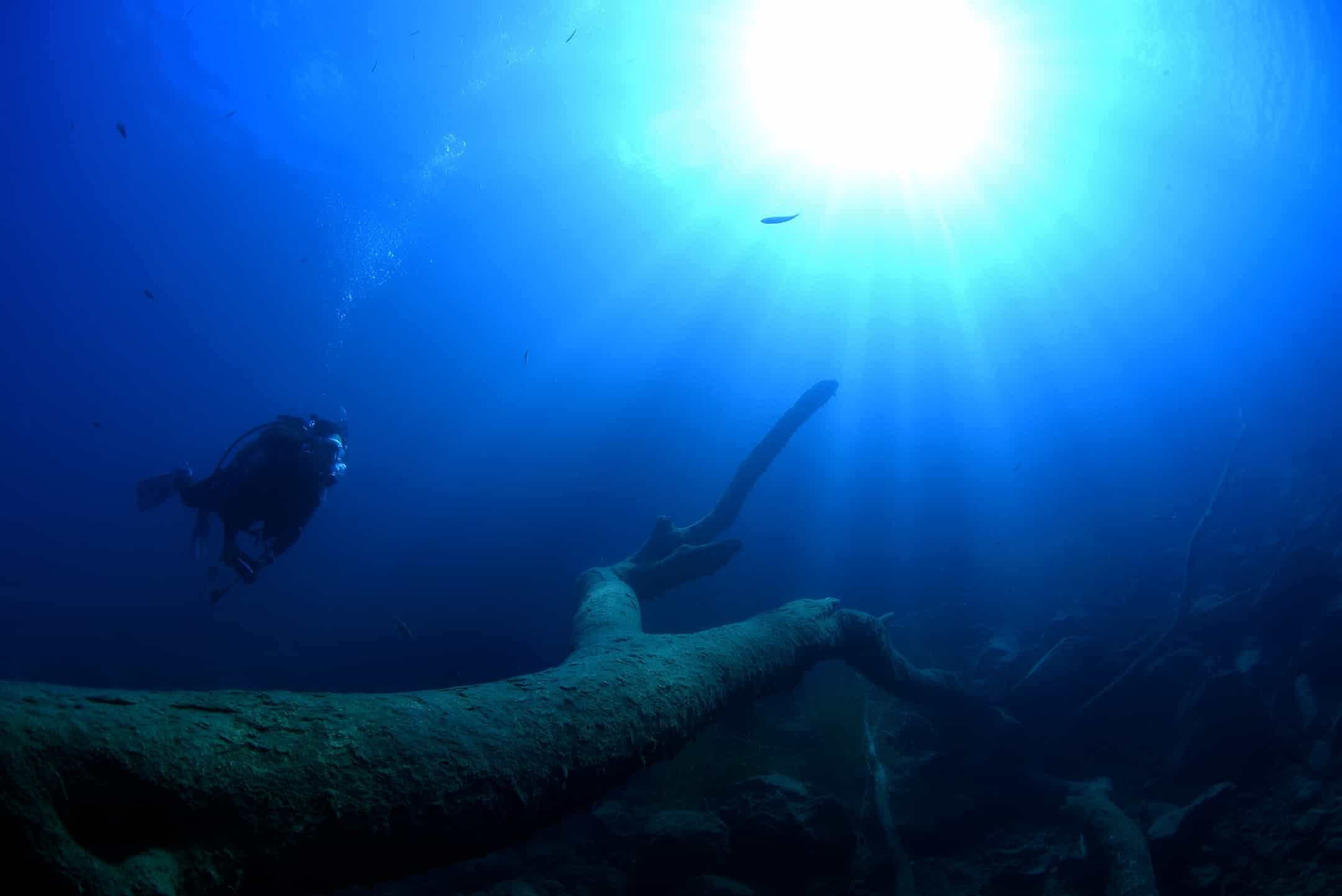 You Can Go Freshwater Diving In Lake Motosu At The Foot Of Mt Fuji This 