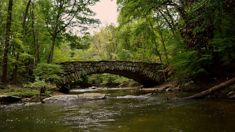 Go off the beaten path with Rock Creek Park