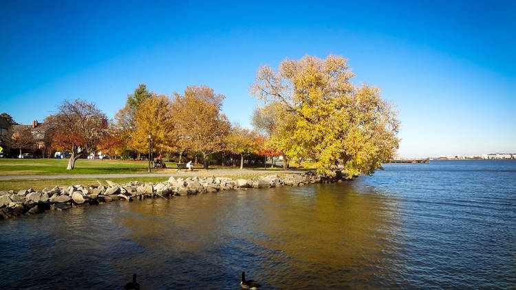 Paddle down the Potomac River