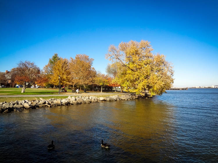 Paddle down the Potomac River