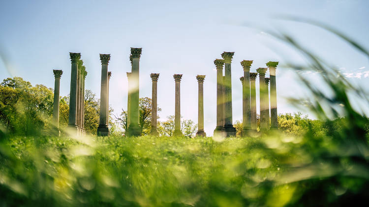 Visit the National Arboretum