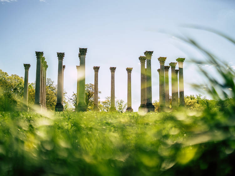 Visit the National Arboretum 