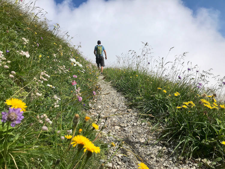 5. Get to know nature in an Alpine garden