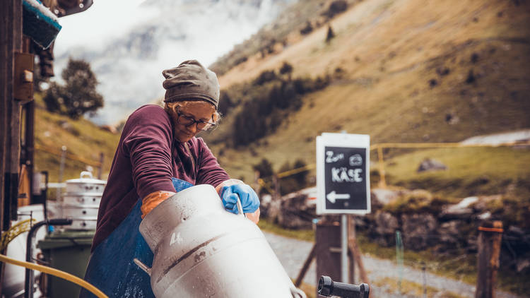 Eat your way through the Alpine Cheese Trail