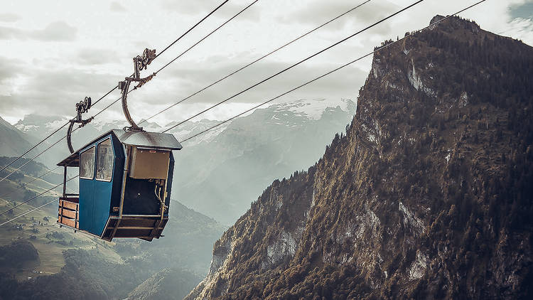 Glide through a cable car safari