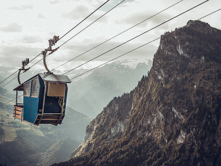 Glide through a cable car safari