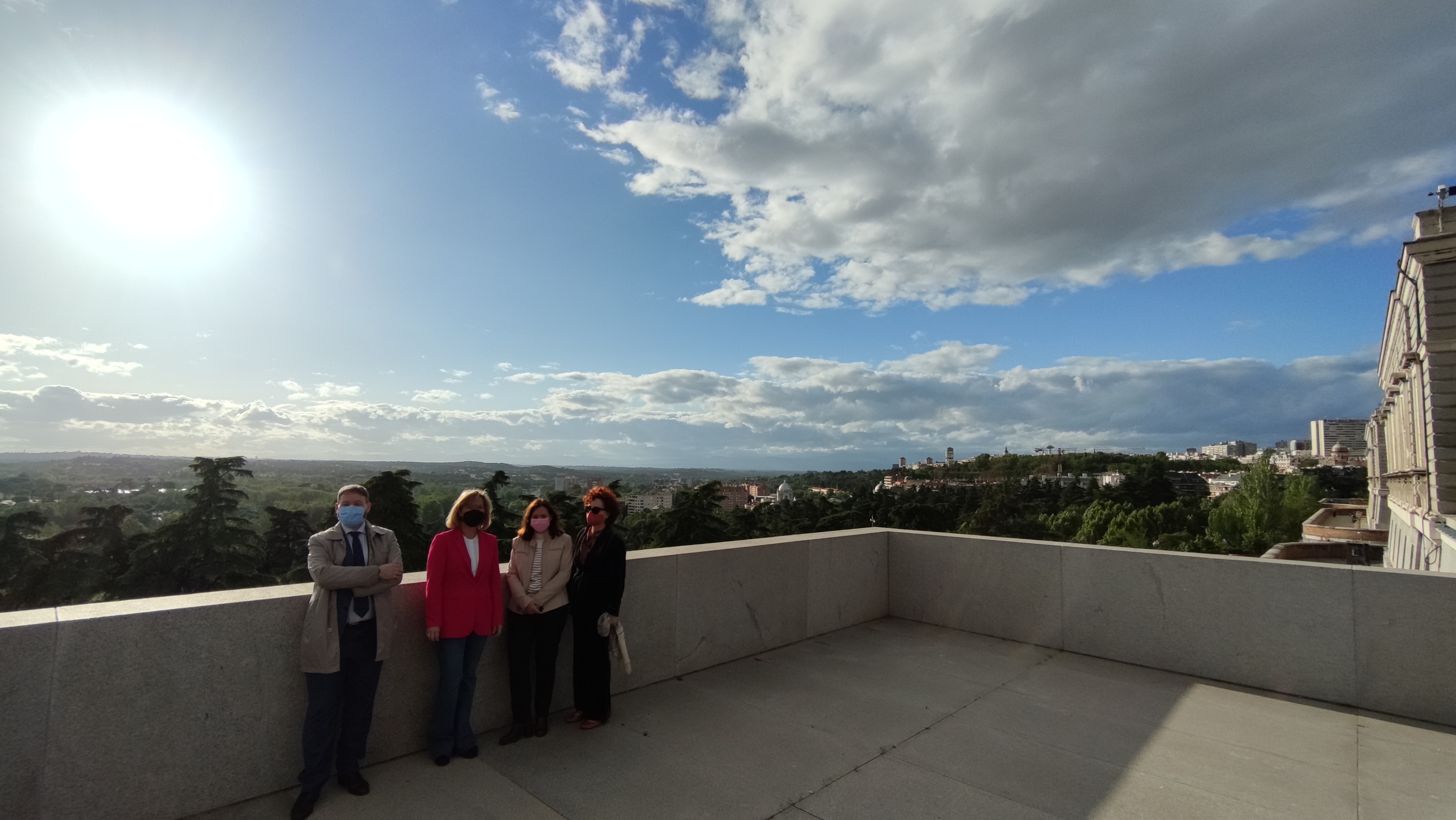 Mirador de la cornisa del Palacio Real