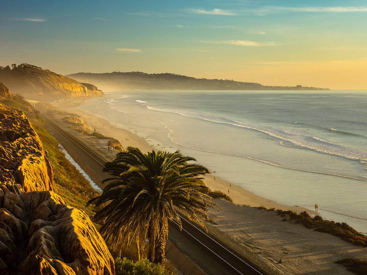 The 20 best things to do in San Diego