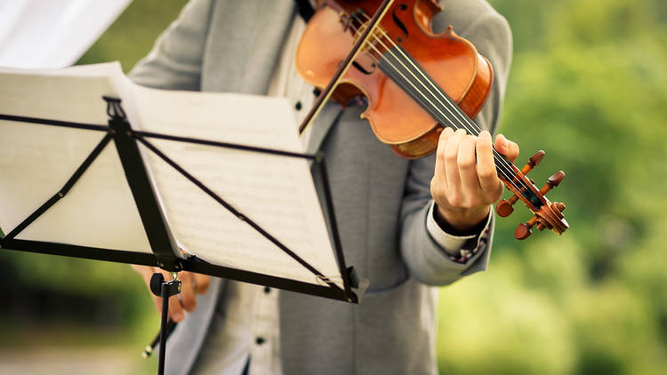 Catch a symphony performance on the bay