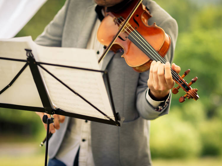 Catch a symphony performance on the bay