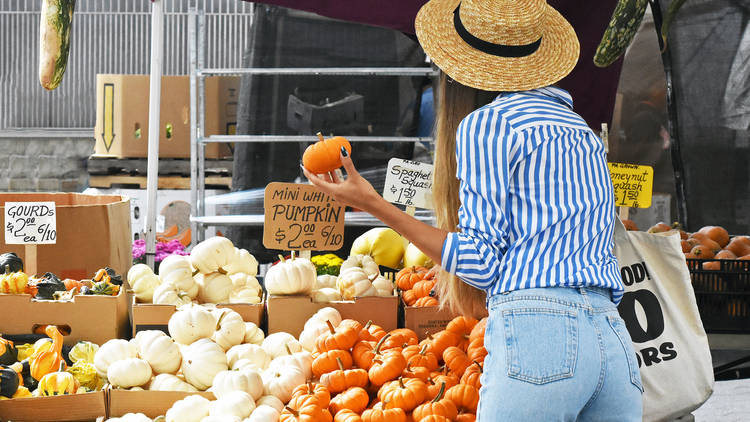 Taste your way through a local farmers market 