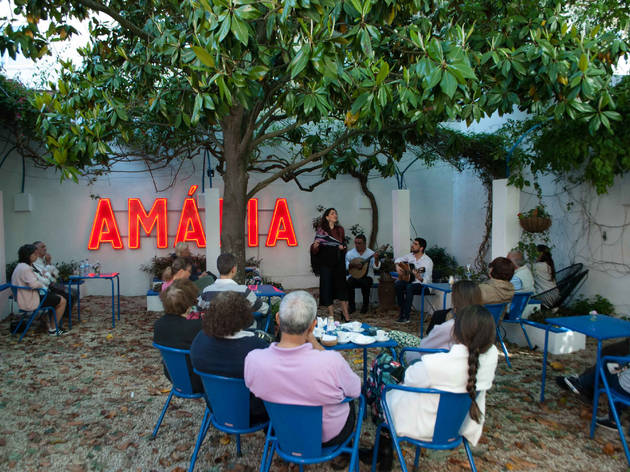 Jardim da Casa-Museu Amália Rodrigues Jardim da Amália Rodrigues