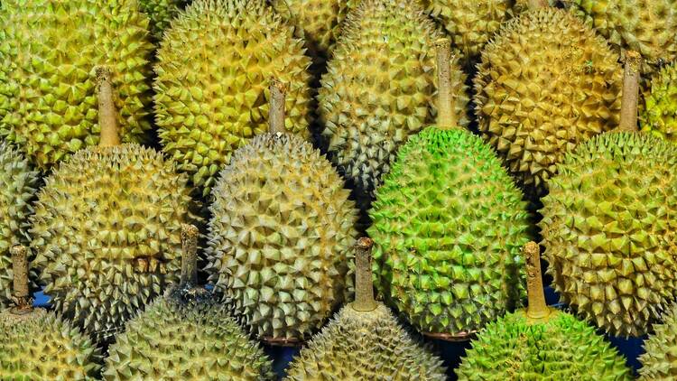 Taking durians on public transport