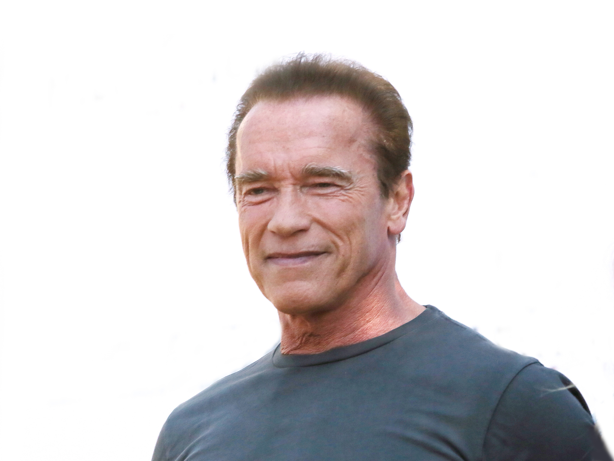Arnold Schwarzenegger’s new spy series set to hit Netflix