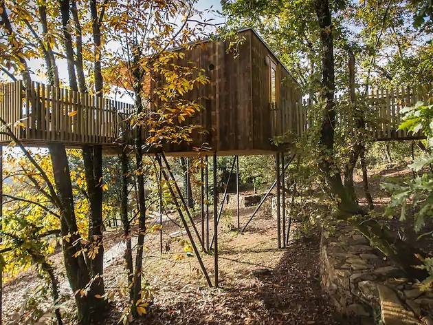 Cabaña en el árbol Airbnb