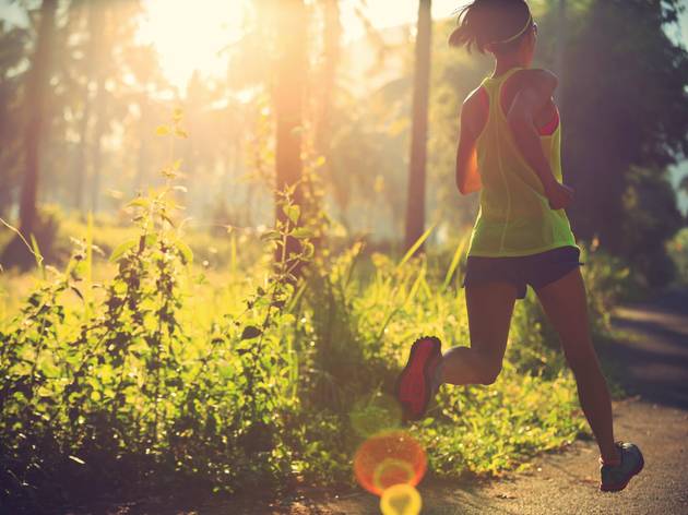 Young,Fitness,Woman,Running,At,Morning,Tropical,Forest,Trail Young,Fitness,Woman,Running,At,Morning,Tropical,Forest,Trail