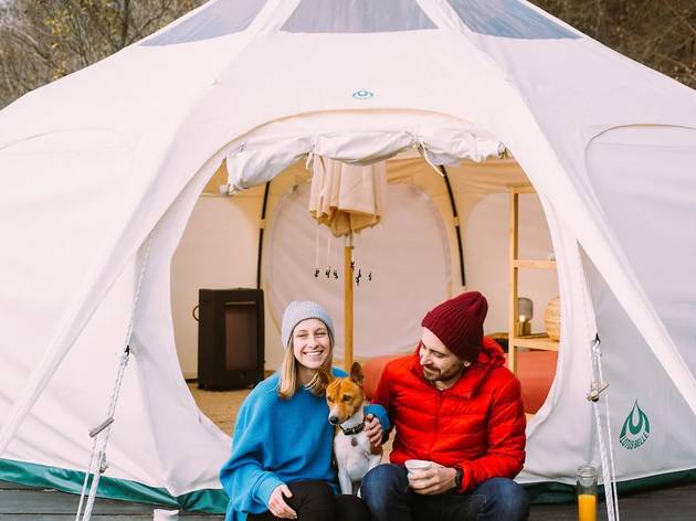 Familia perruna Airbnb