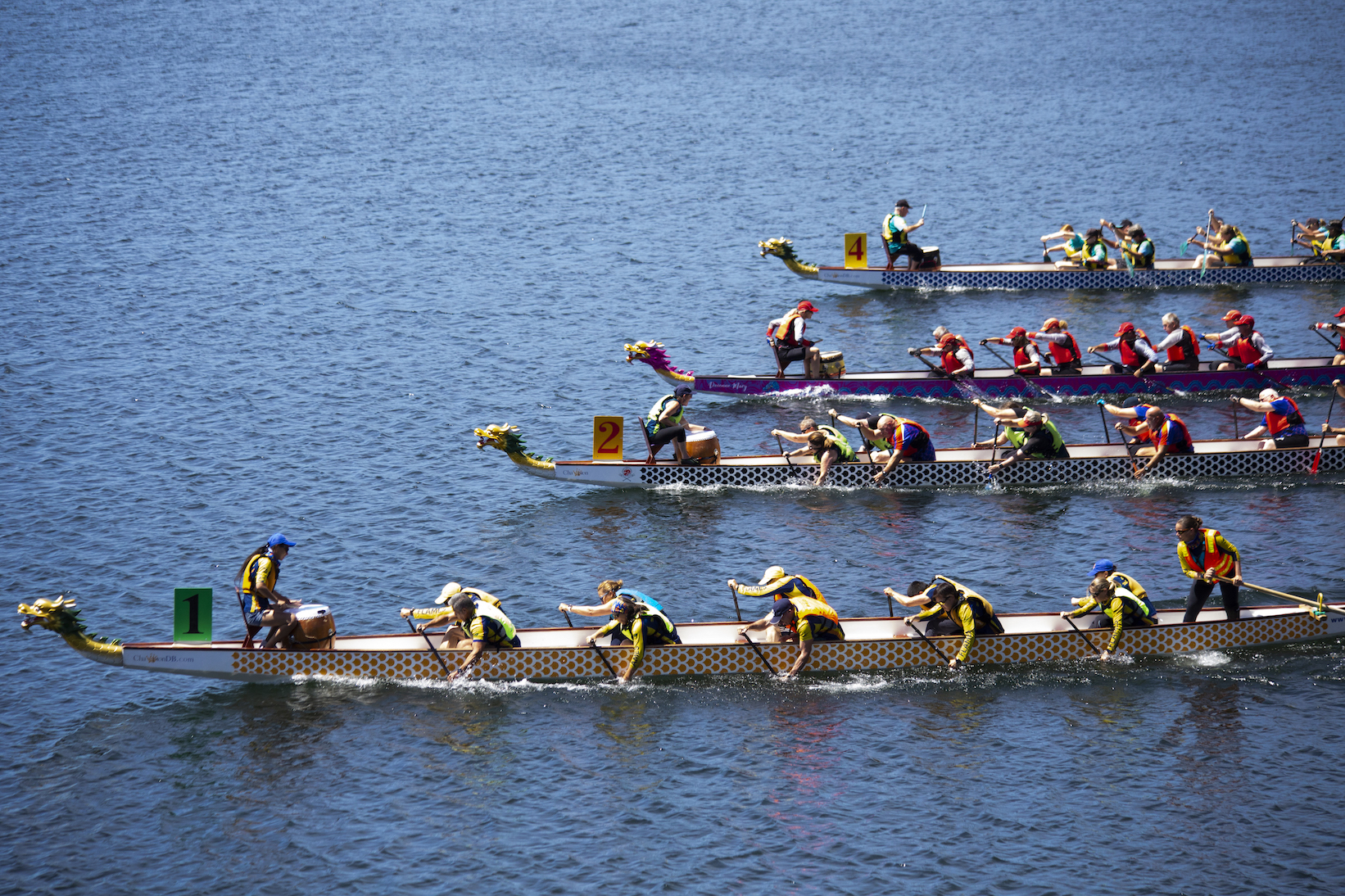 Melbourne's Dragon Boat Festival heads to Docklands this February