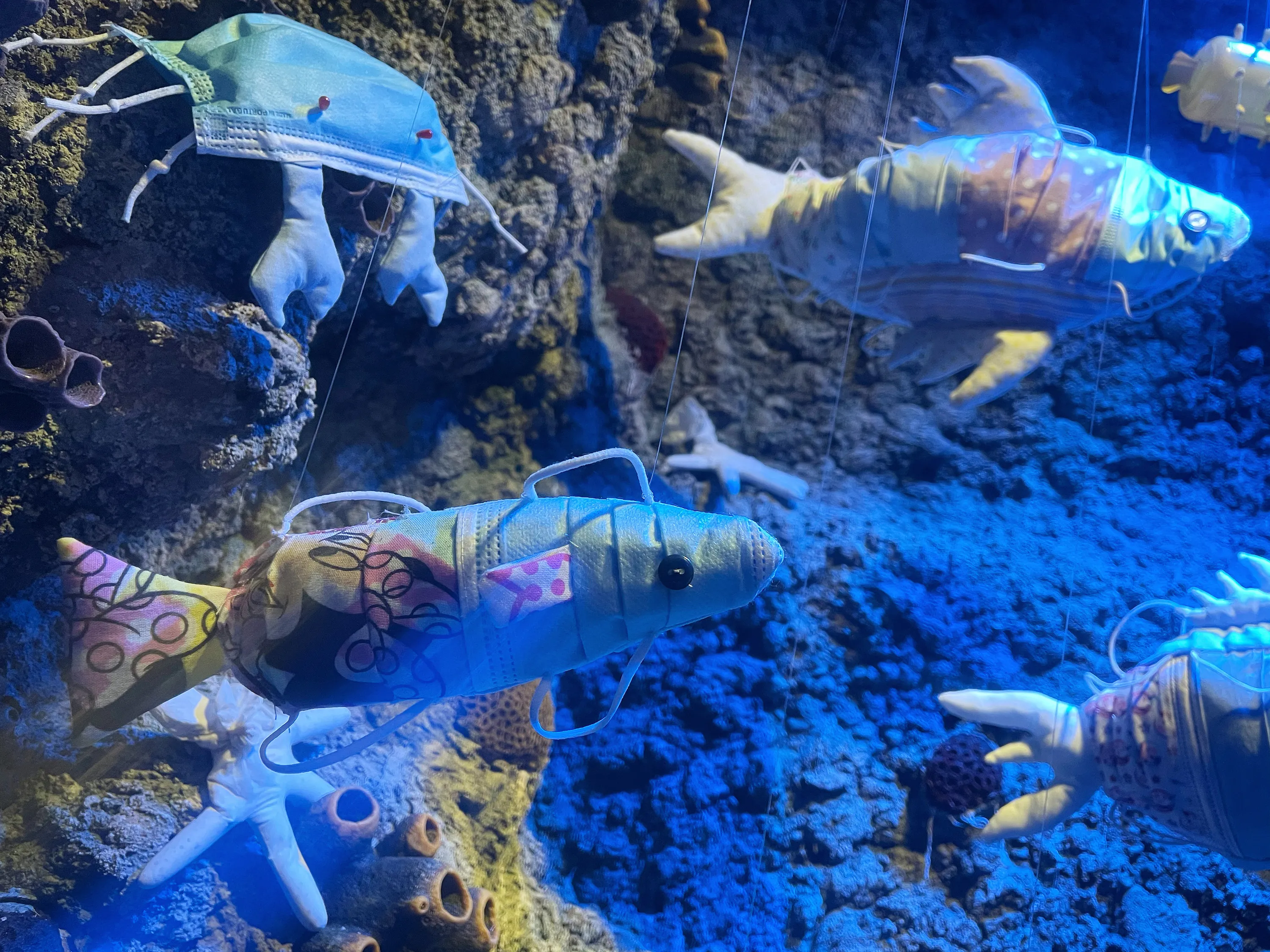 Sea Life