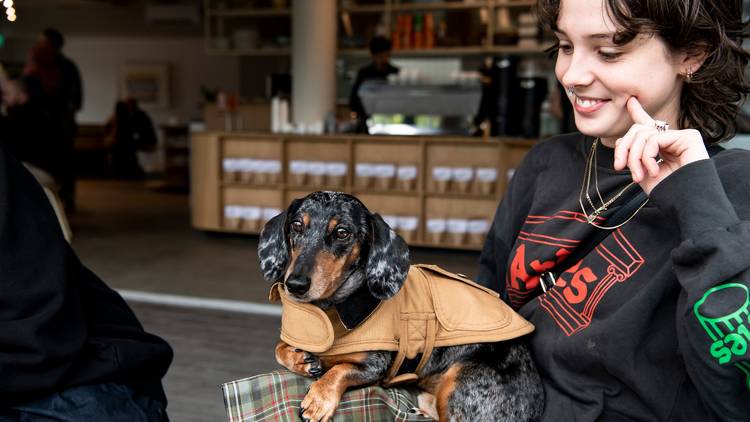 Woman holding sausage dog