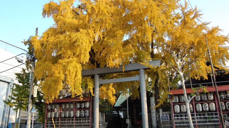 Namiyoke Shrine